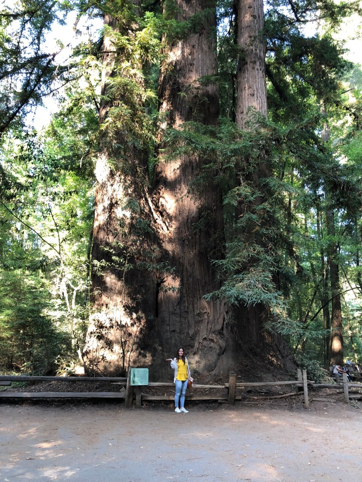 Girl standing by giant redwood tree in California