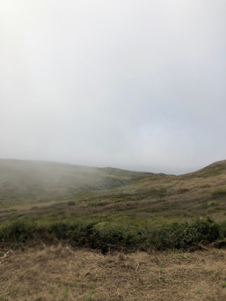 Fog covers ocean at Point Reyes Lookout