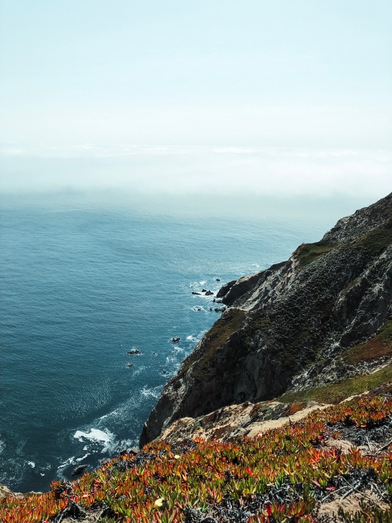 Looking down the cliffs at Point Reyes California