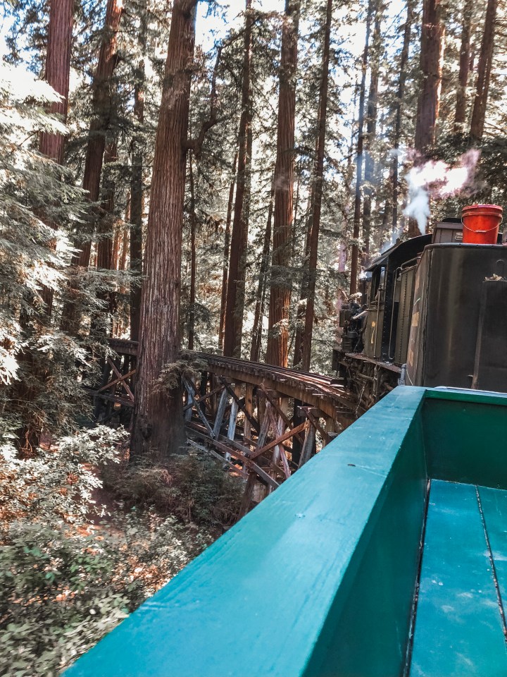 steam train ride through redwoods in California